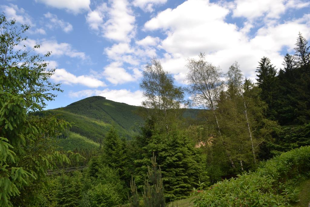 Pod Knizeci, Holiday home