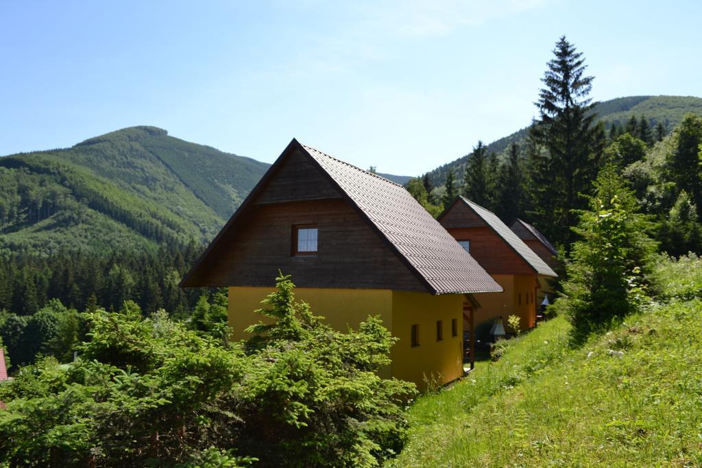 Pod Knizeci, *